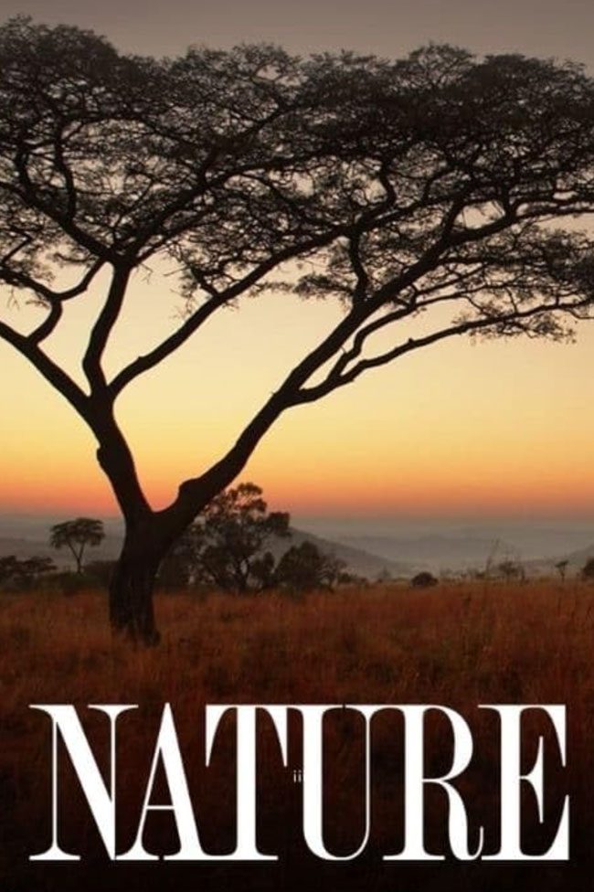 fixer-film-producer-ecuador-nature